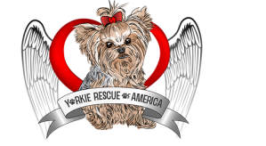 yorkie rescue logo